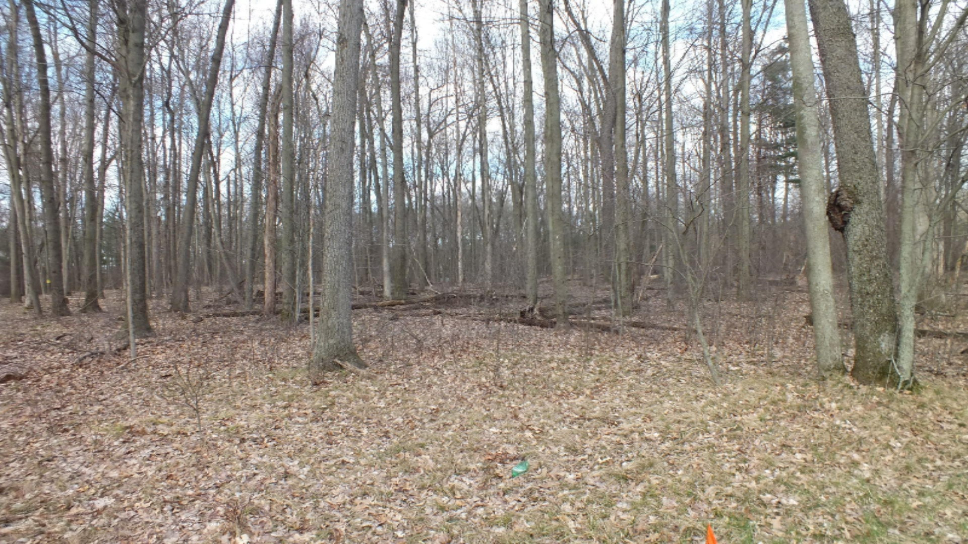 3481 Jeffrey Spur, Unit LOT 16 Hamilton, MI 49419 - Photo 6 of 9 Lot 16