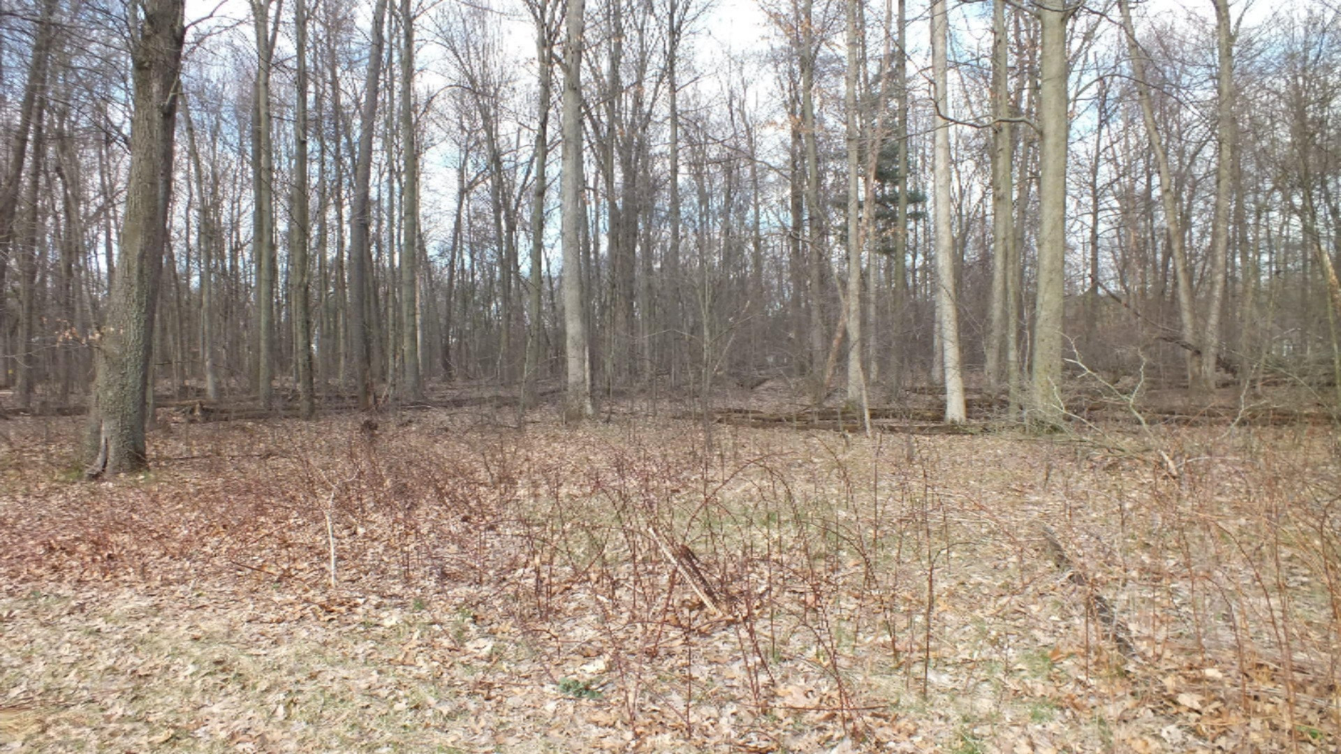 3481 Jeffrey Spur, Unit LOT 16 Hamilton, MI 49419 - Photo 7 of 9 Lot 16