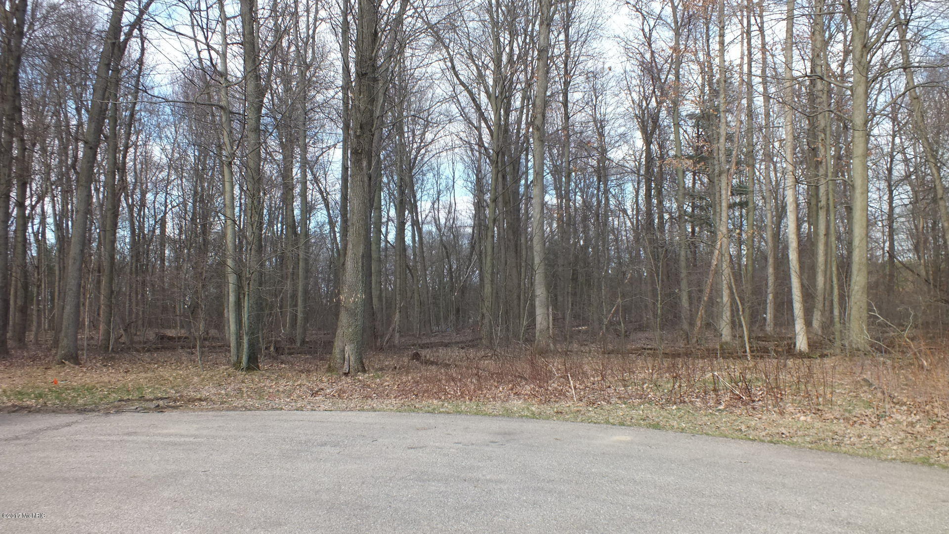 3481 Jeffrey Spur, Unit LOT 16 Hamilton, MI 49419 - Photo 8 of 9 DSCF0546