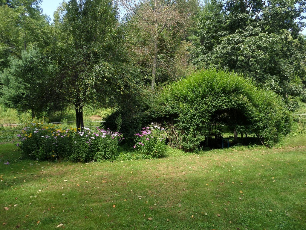15 Bromley Road Huntington, MA 01050 - Photo 11 of 29 a view of a garden