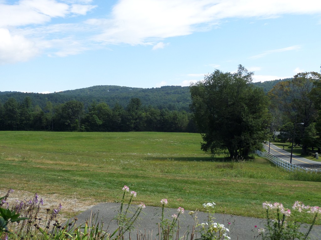15 Bromley Road Huntington, MA 01050 - Photo 7 of 29 a view of a grassy field with an trees