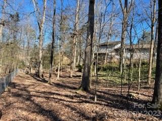 11108 Winding Way Road Charlotte, NC 28226 - Photo 4 of 42 Gallery Image 4