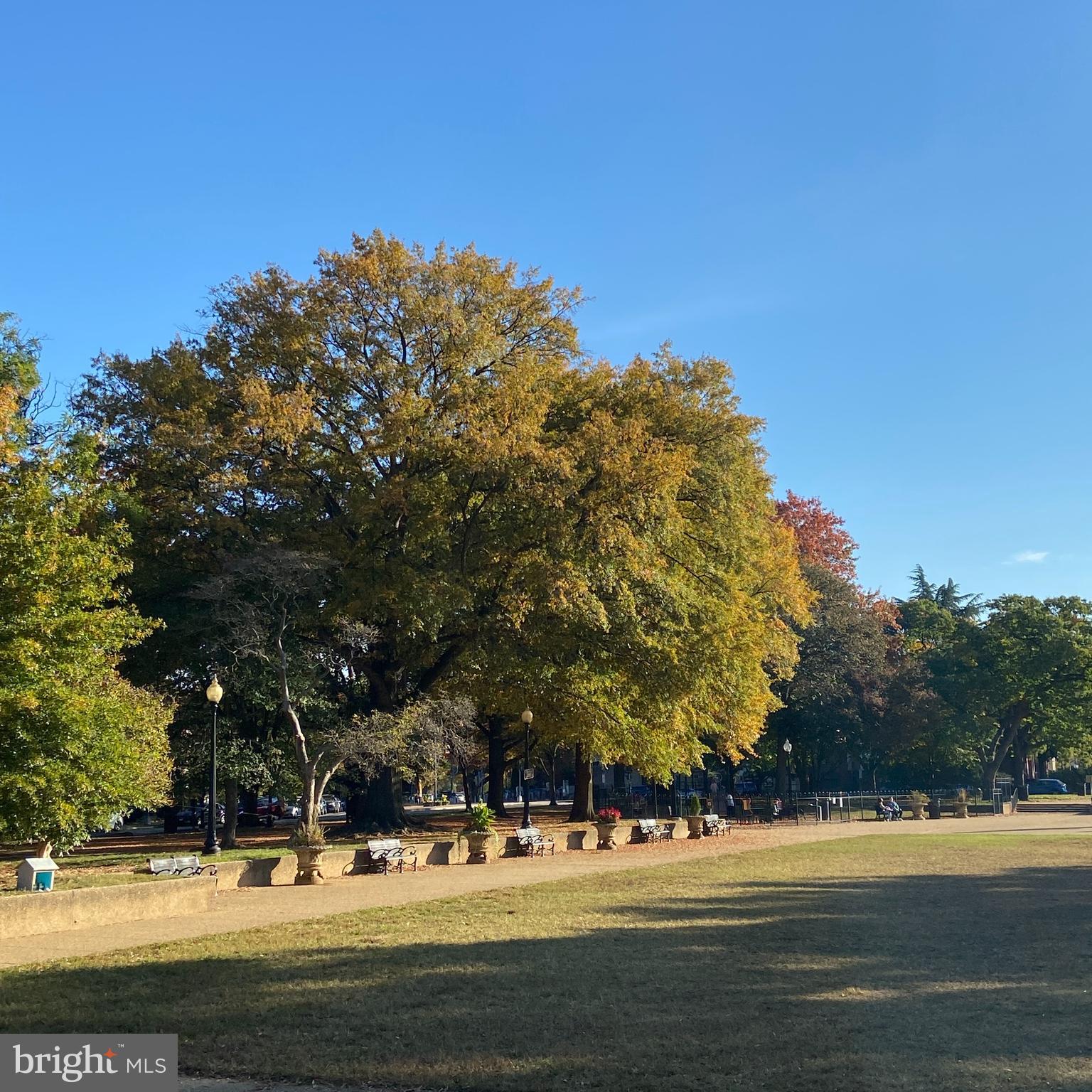 1322 E Street Northeast Washington, DC 20002 - Photo 45 of 49 a view of road with trees