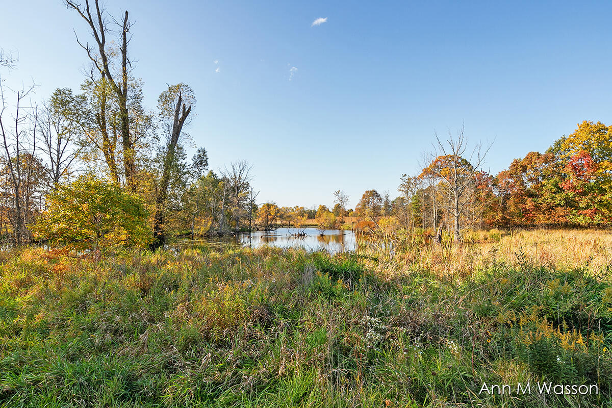 5911 East Butler Road Dowling, MI 49050 - Photo 35 of 54 IMG_1034