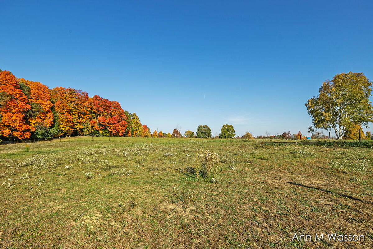 5911 East Butler Road Dowling, MI 49050 - Photo 36 of 54 IMG_1035