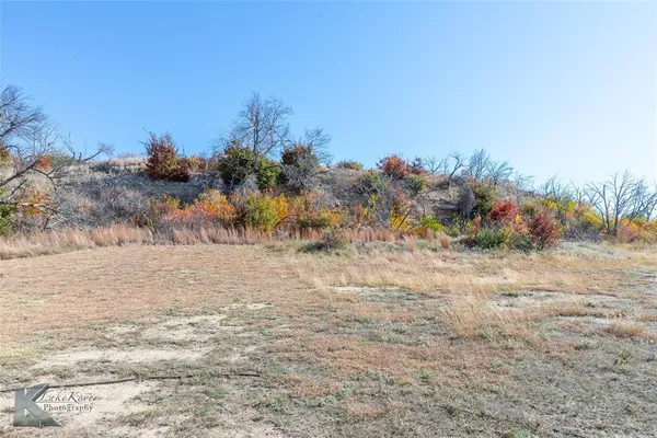 a view of a dry yard with trees