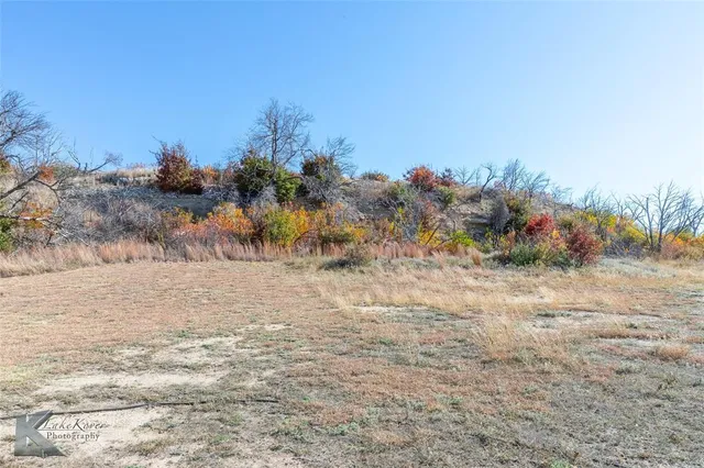 a view of a dry yard with trees
