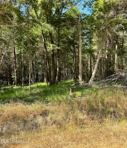 $260,000 | 5153 South S Highway, Hernando, MS 38632