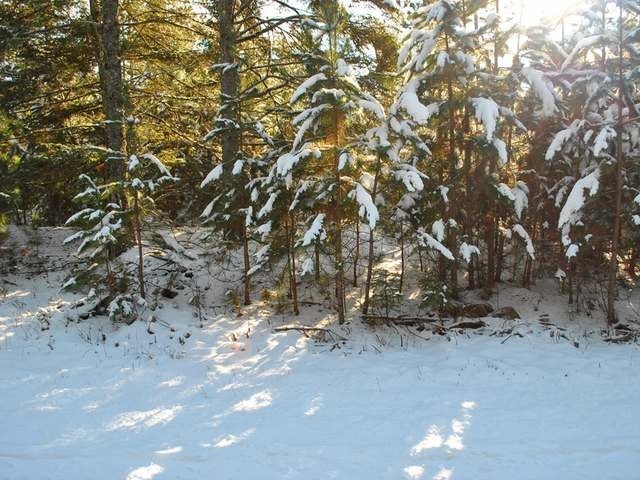 On Dyer Road, Unit LOT 2 Eagle River, WI 54521 - Photo 10 of 12 Gallery Image 10