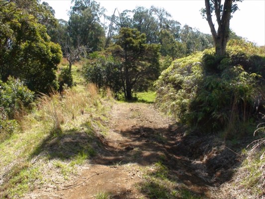 41-1679 Homestead Road Ookala, HI 96774 - Photo 15 of 25 Gallery Image 15