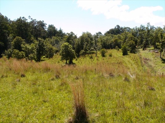 41-1679 Homestead Road Ookala, HI 96774 - Photo 16 of 25 Gallery Image 16
