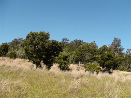 41-1679 Homestead Road Ookala, HI 96774 - Photo 20 of 25 Gallery Image 20
