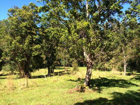 41-1679 Homestead Road Ookala, HI 96774 - Photo 21 of 25 Gallery Image 21