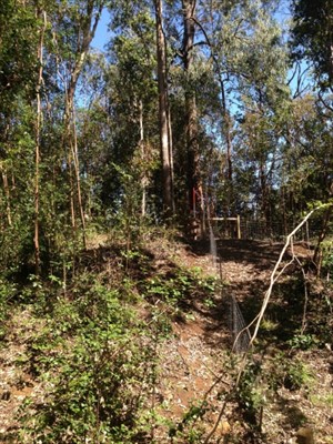 41-1679 Homestead Road Ookala, HI 96774 - Photo 25 of 25 Gallery Image 25