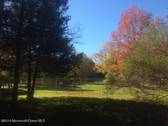 a view of a field with a tree