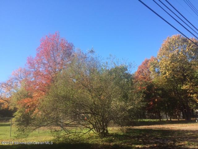 55 Yellowbrook Road Freehold, NJ 07728 - Photo 5 of 5 a view of a yard with large trees