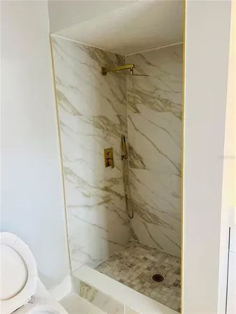 a bathroom with a shower and toilet