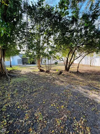 a view of dirt yard with a tree