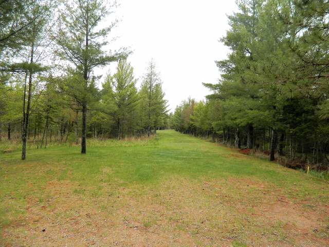 6409 Schultz Landing Road Three Lakes, WI 54562 - Photo 4 of 11 Gallery Image 4