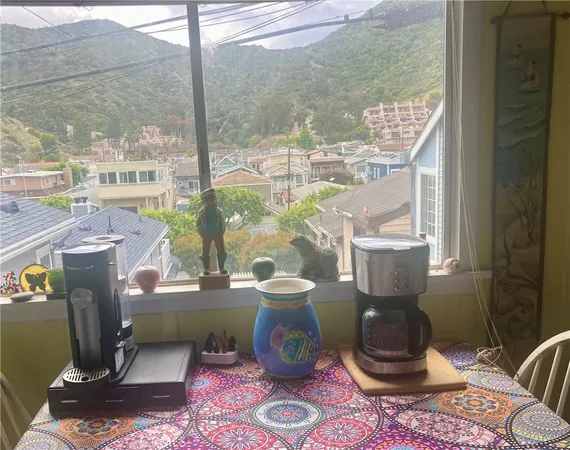 a room with furniture a rug potted plant and a large window
