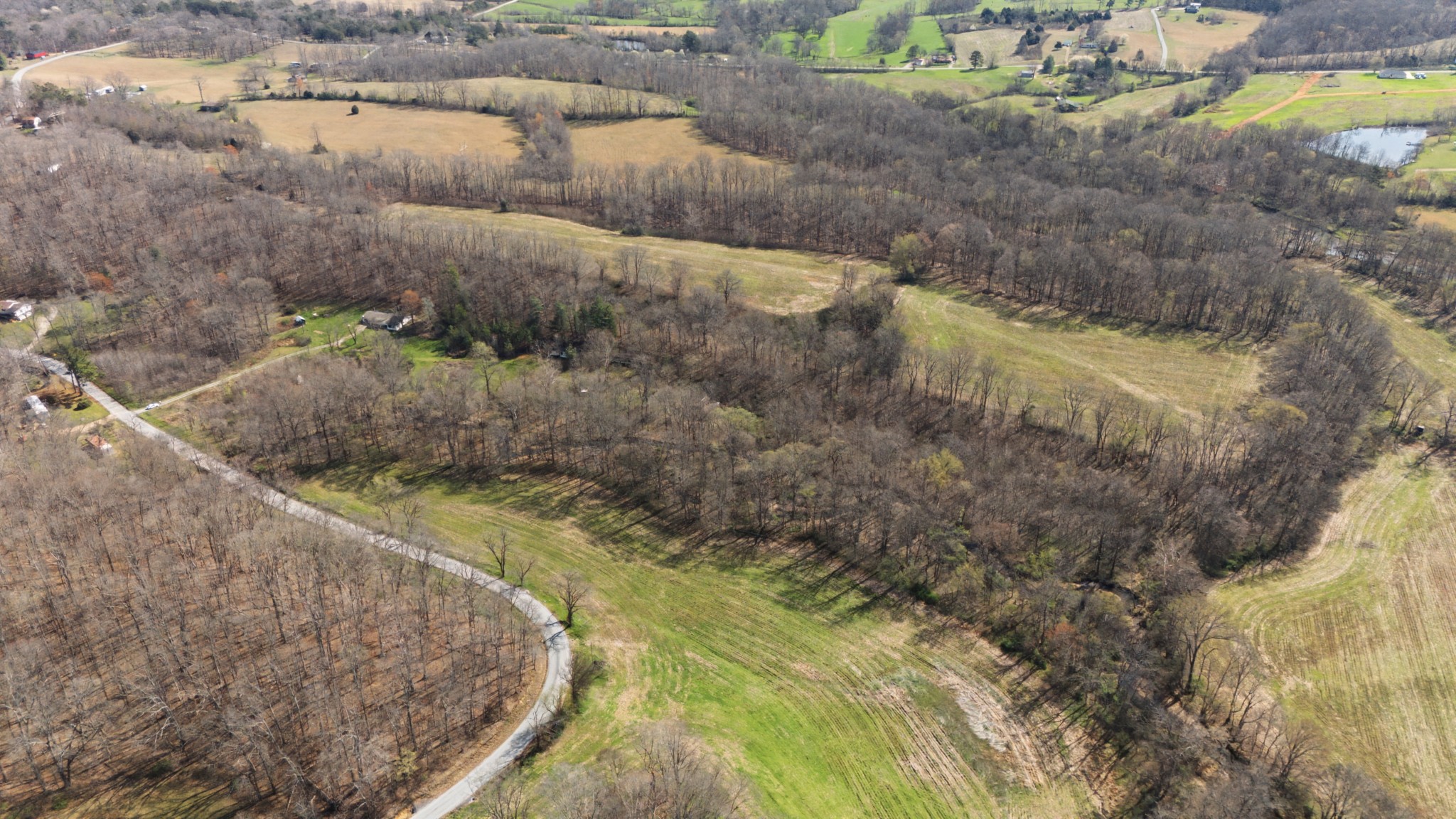 71 Buie Road Summertown, TN 38483 - Photo 5 of 6 a view of swimming pool from a yard
