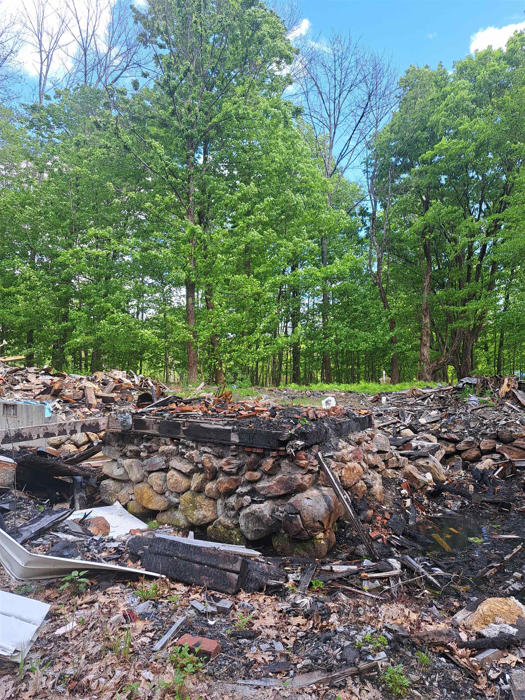 81 Hart Farm Road Deering, NH 03244 - Photo 9 of 17