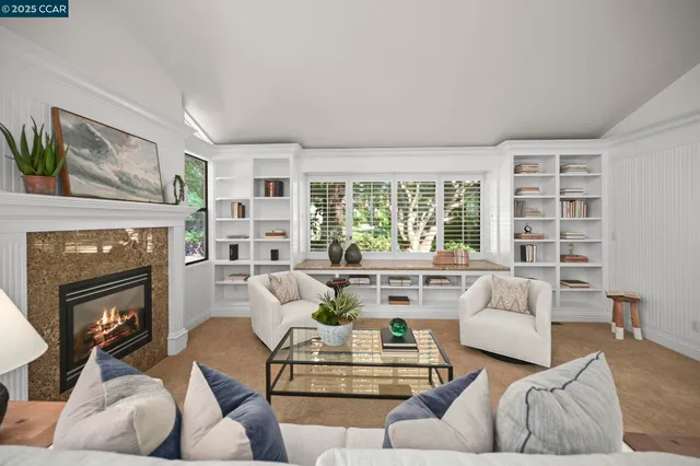 a living room with furniture and a fireplace