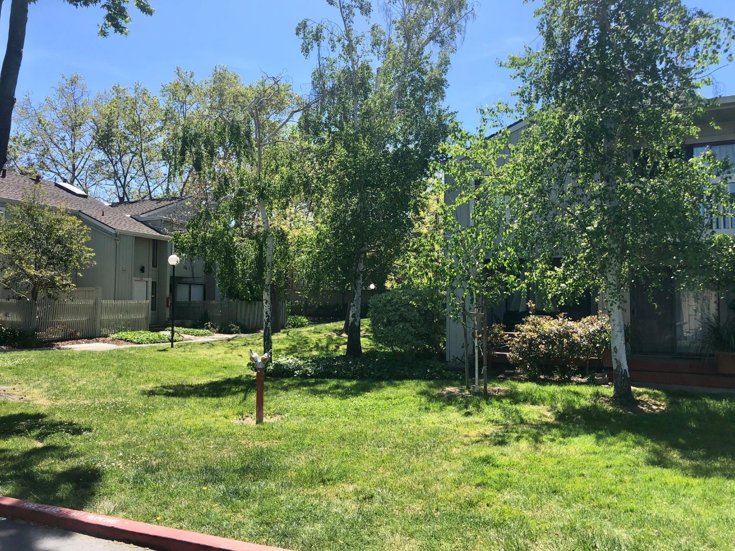 213 Ortega Avenue Mountain View, CA 94040 - Photo 30 of 37 a view of a backyard with table and chairs and potted plants and large trees