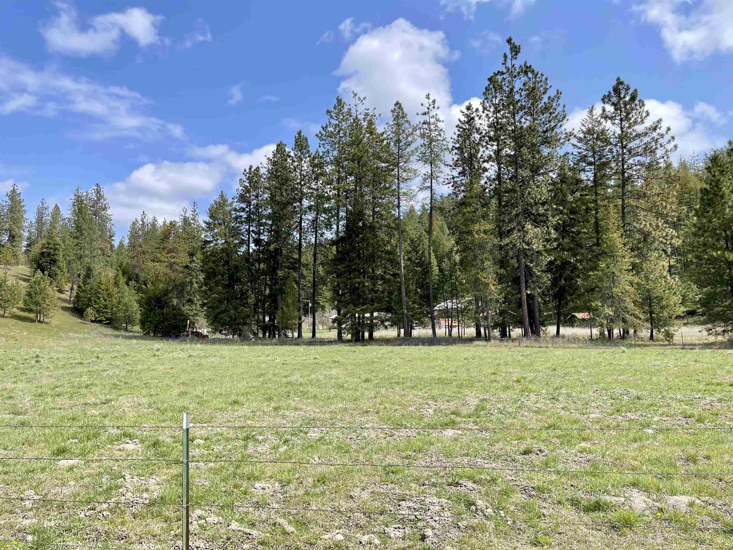 4443 Hidden Road Springdale, WA 99173 - Photo 26 of 27 Gallery Image 26