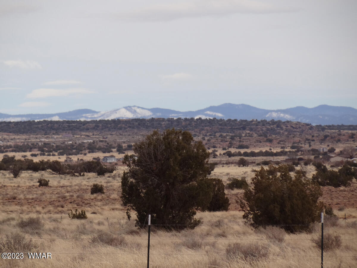 4669 Clyde Road Snowflake, AZ 85937 - Photo 45 of 45 Gallery Image 45