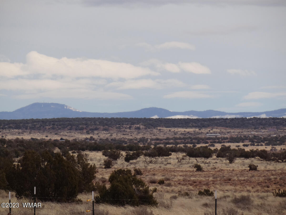 4669 Clyde Road Snowflake, AZ 85937 - Photo 9 of 45 Gallery Image 9