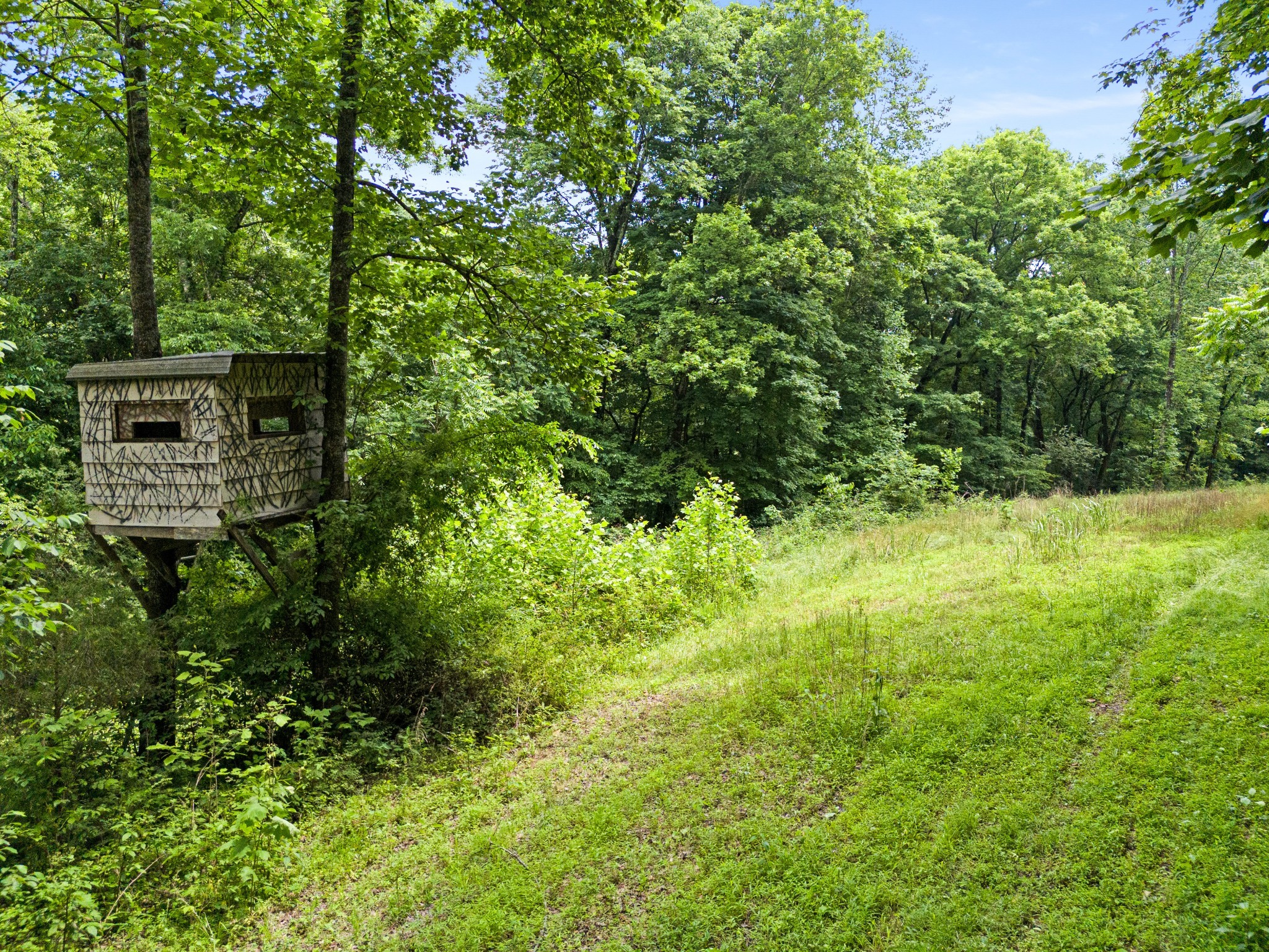 715 Rogues Fork Road Bethpage, TN 37022 - Photo 35 of 68