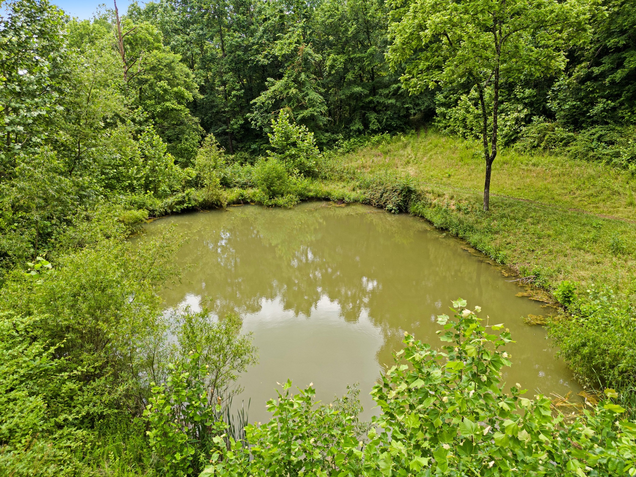 715 Rogues Fork Road Bethpage, TN 37022 - Photo 36 of 68 a view of a lake with a yard