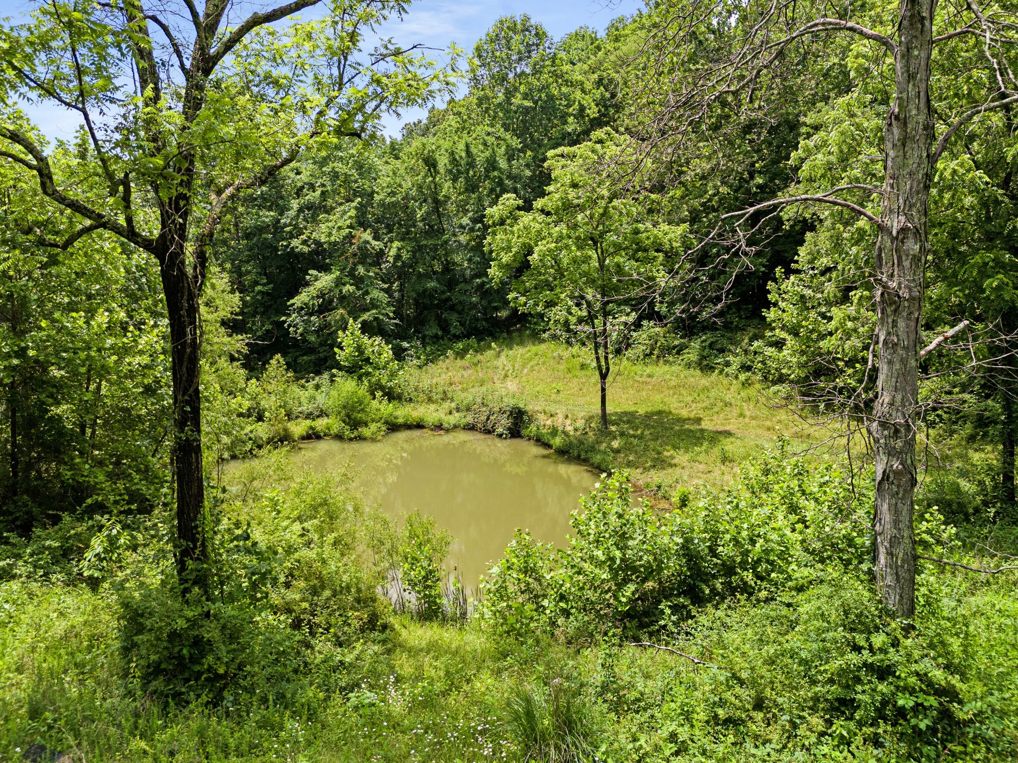 715 Rogues Fork Road Bethpage, TN 37022 - Photo 37 of 68 a view of yard with swimming pool and green space