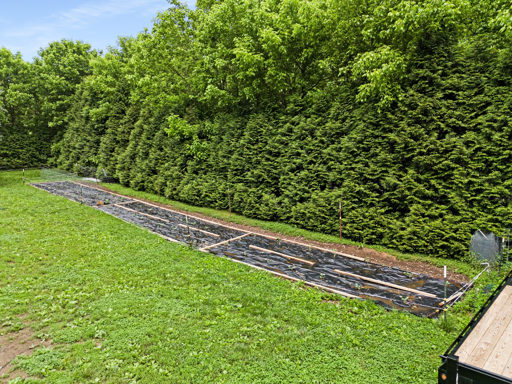715 Rogues Fork Road Bethpage, TN 37022 - Photo 38 of 68 a view of a yard with a small yard