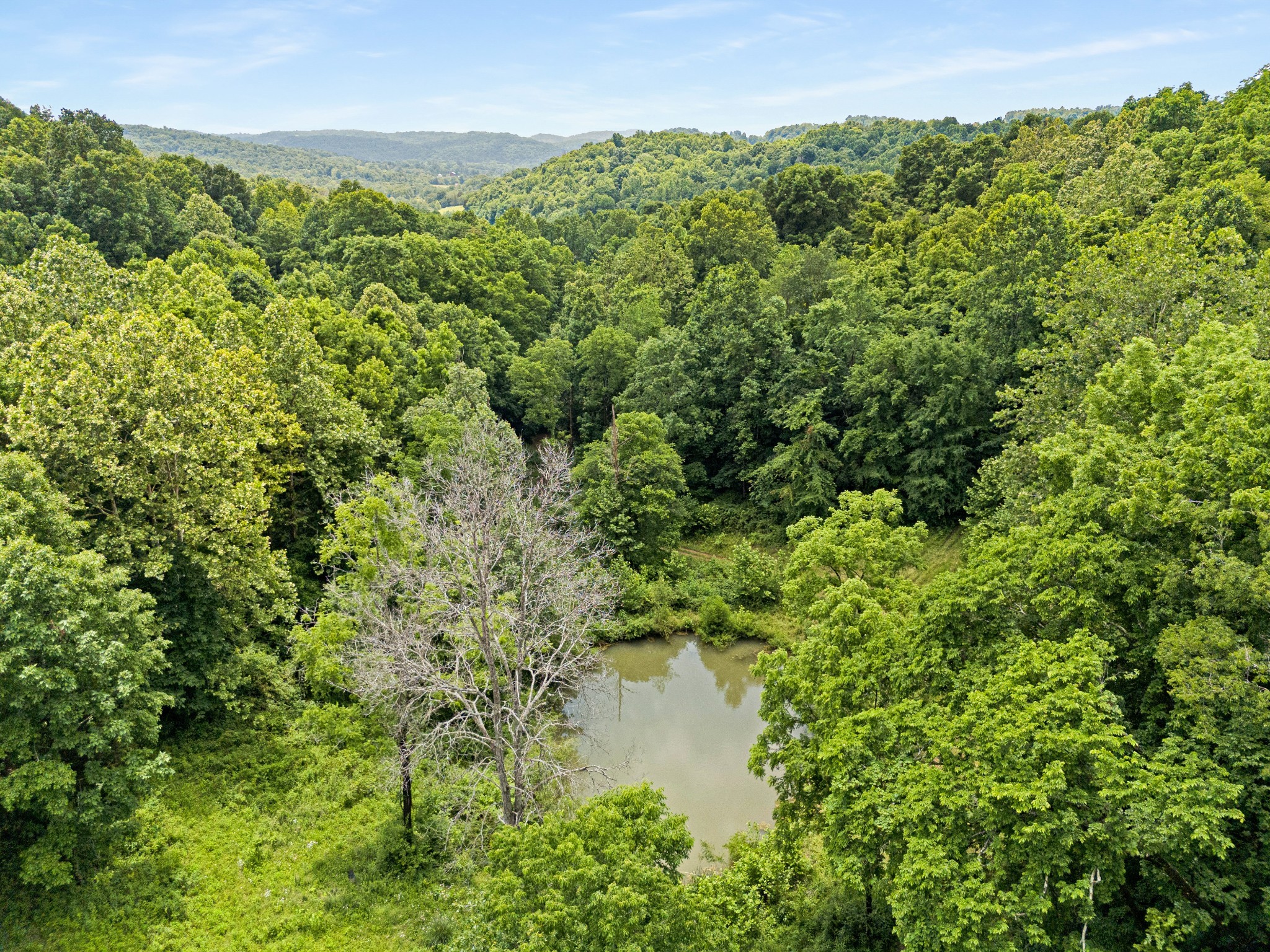 715 Rogues Fork Road Bethpage, TN 37022 - Photo 40 of 68
