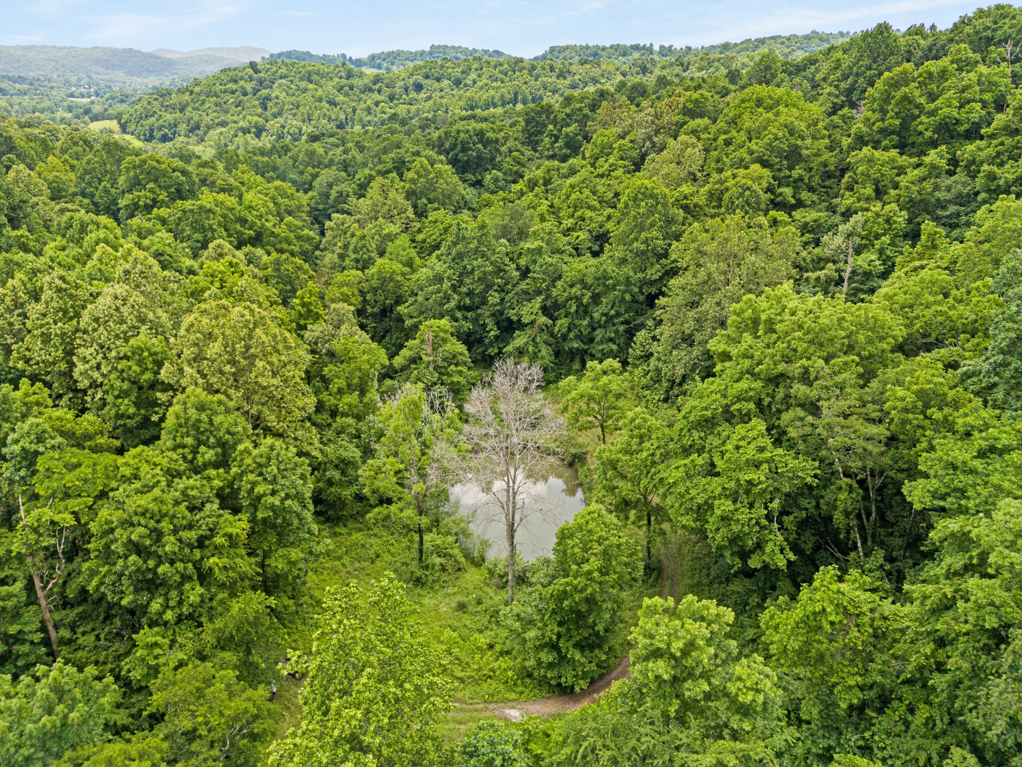 715 Rogues Fork Road Bethpage, TN 37022 - Photo 41 of 68 a view of a garden with a building