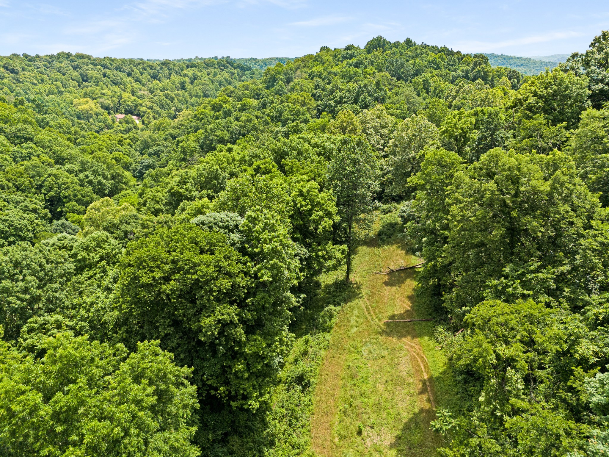 715 Rogues Fork Road Bethpage, TN 37022 - Photo 42 of 68 a view of a garden