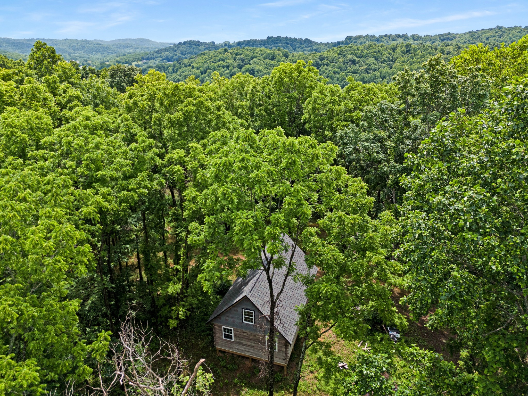 715 Rogues Fork Road Bethpage, TN 37022 - Photo 43 of 68 a view of a lush green field with a tree