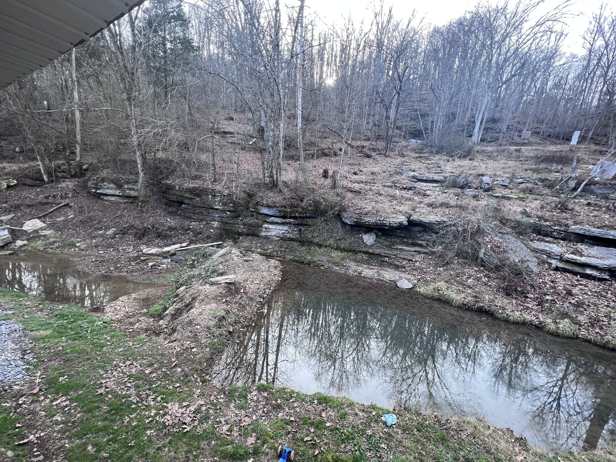 715 Rogues Fork Road Bethpage, TN 37022 - Photo 49 of 68