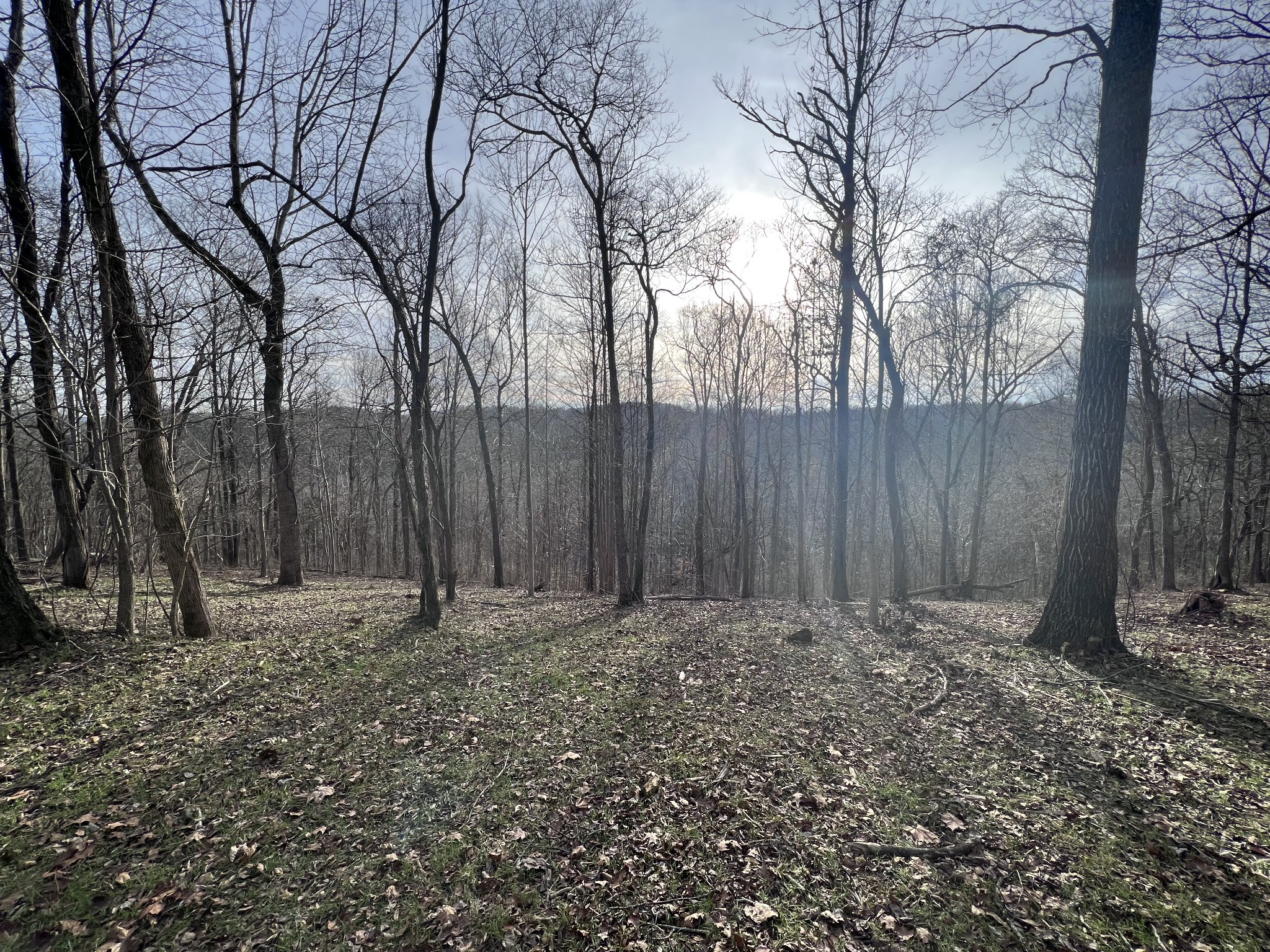 715 Rogues Fork Road Bethpage, TN 37022 - Photo 50 of 68