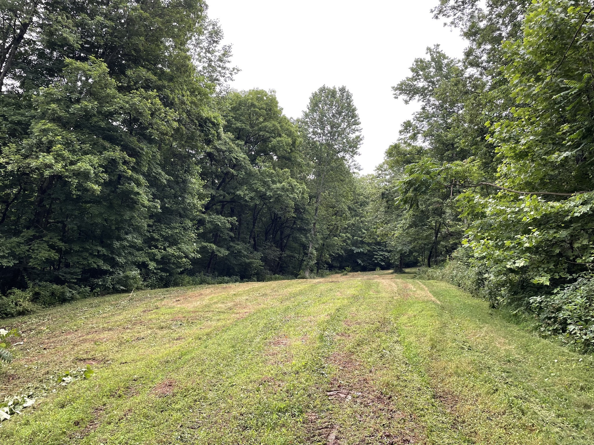 715 Rogues Fork Road Bethpage, TN 37022 - Photo 57 of 68