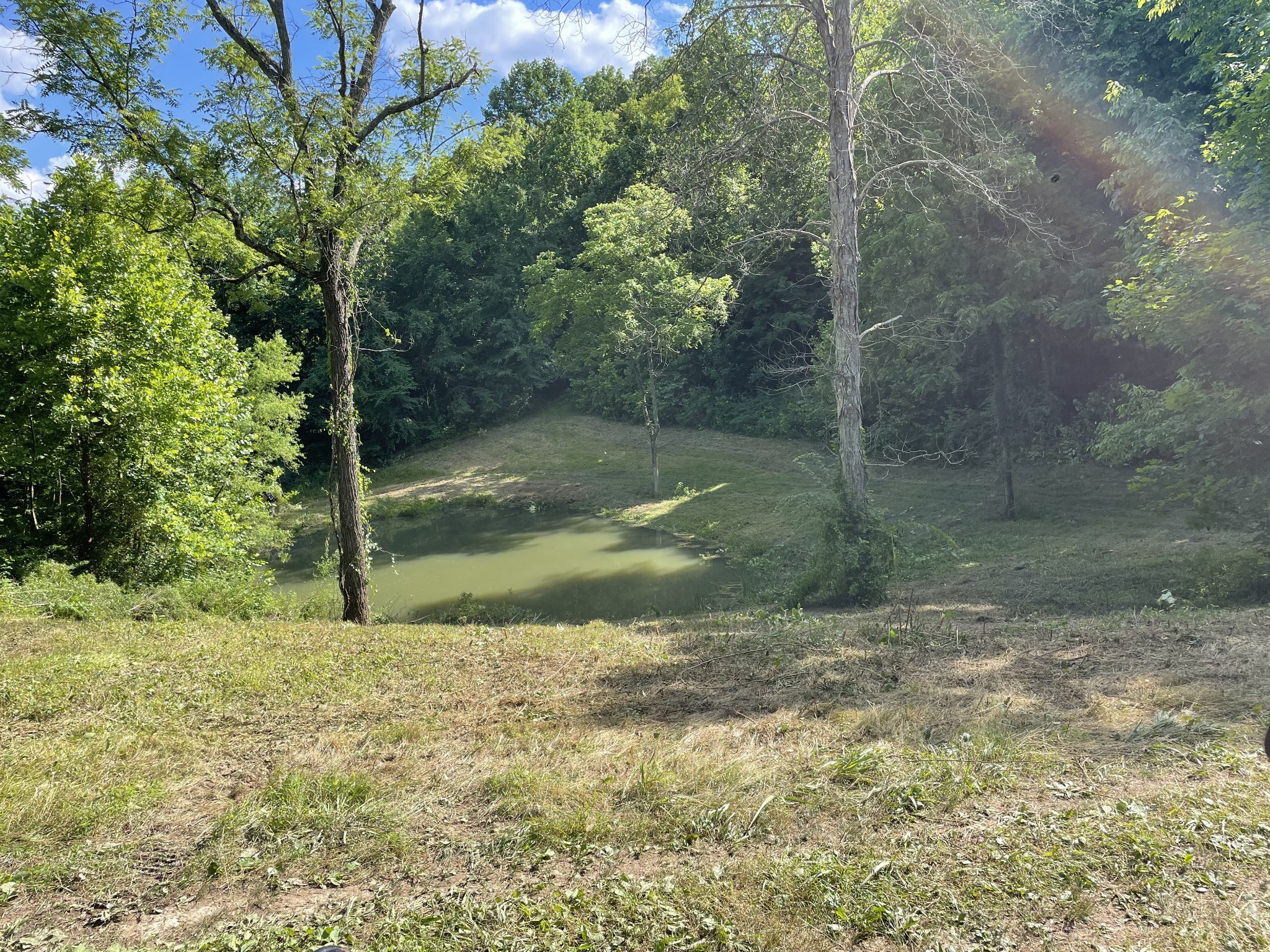 715 Rogues Fork Road Bethpage, TN 37022 - Photo 59 of 68