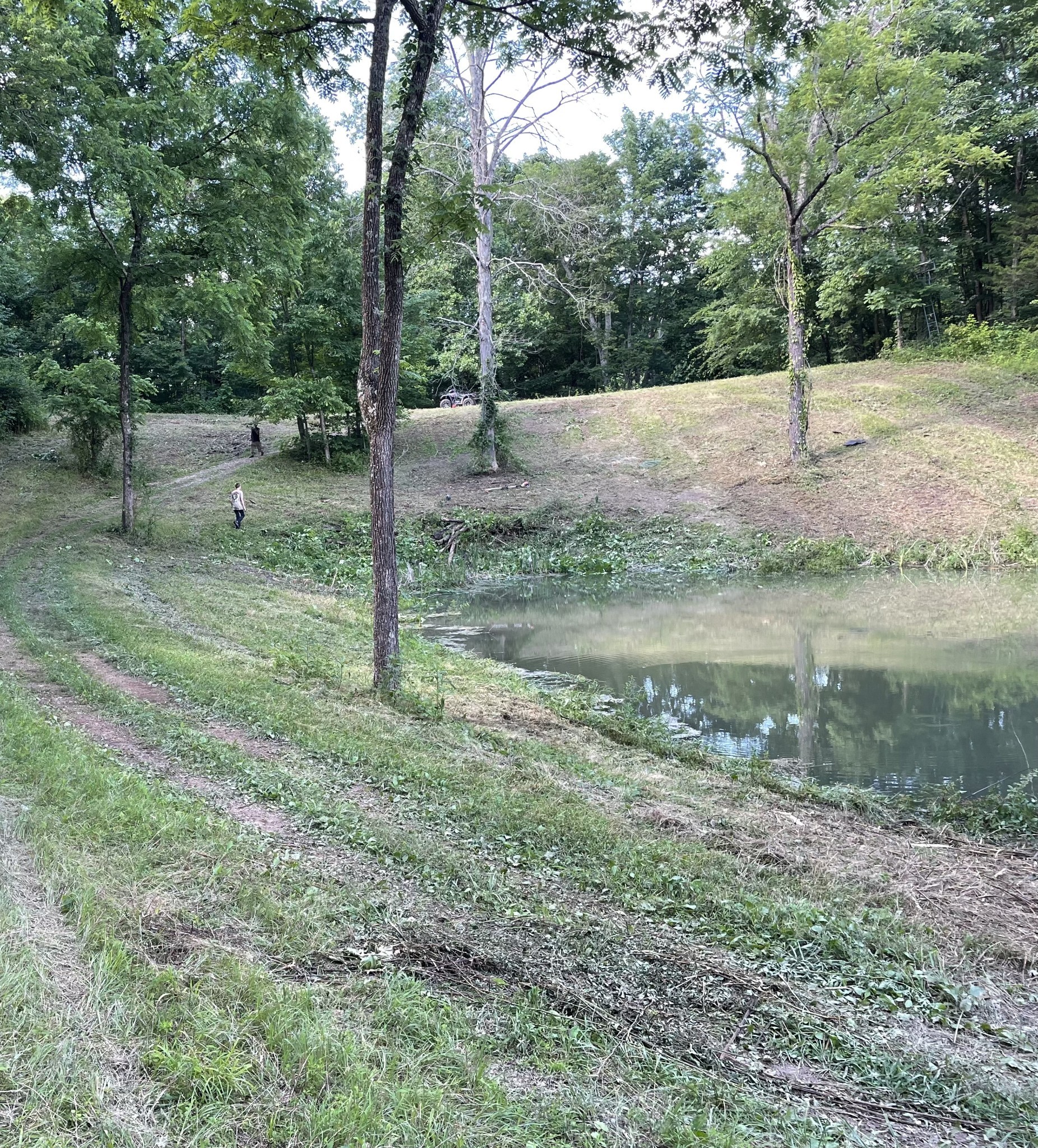 715 Rogues Fork Road Bethpage, TN 37022 - Photo 61 of 68 a backyard of a house with lots of green space