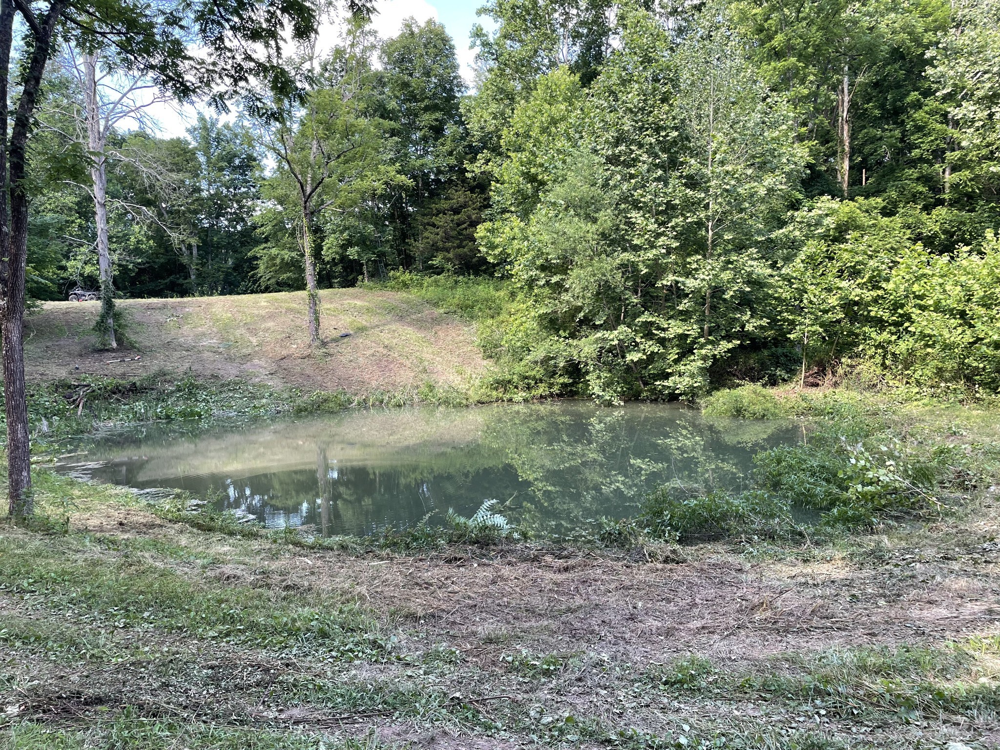 715 Rogues Fork Road Bethpage, TN 37022 - Photo 62 of 68 a view of a forest with a fountain