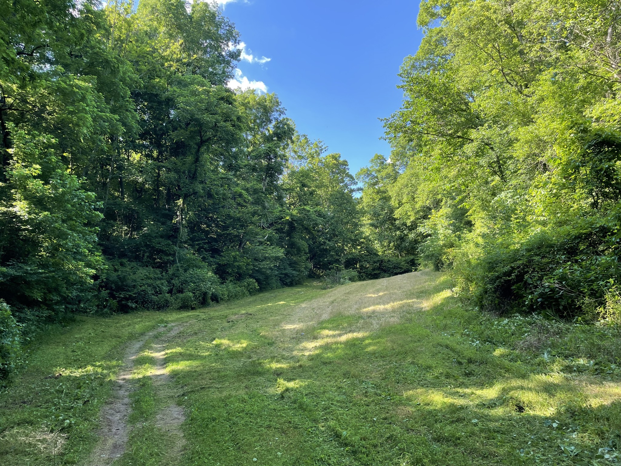 715 Rogues Fork Road Bethpage, TN 37022 - Photo 64 of 68