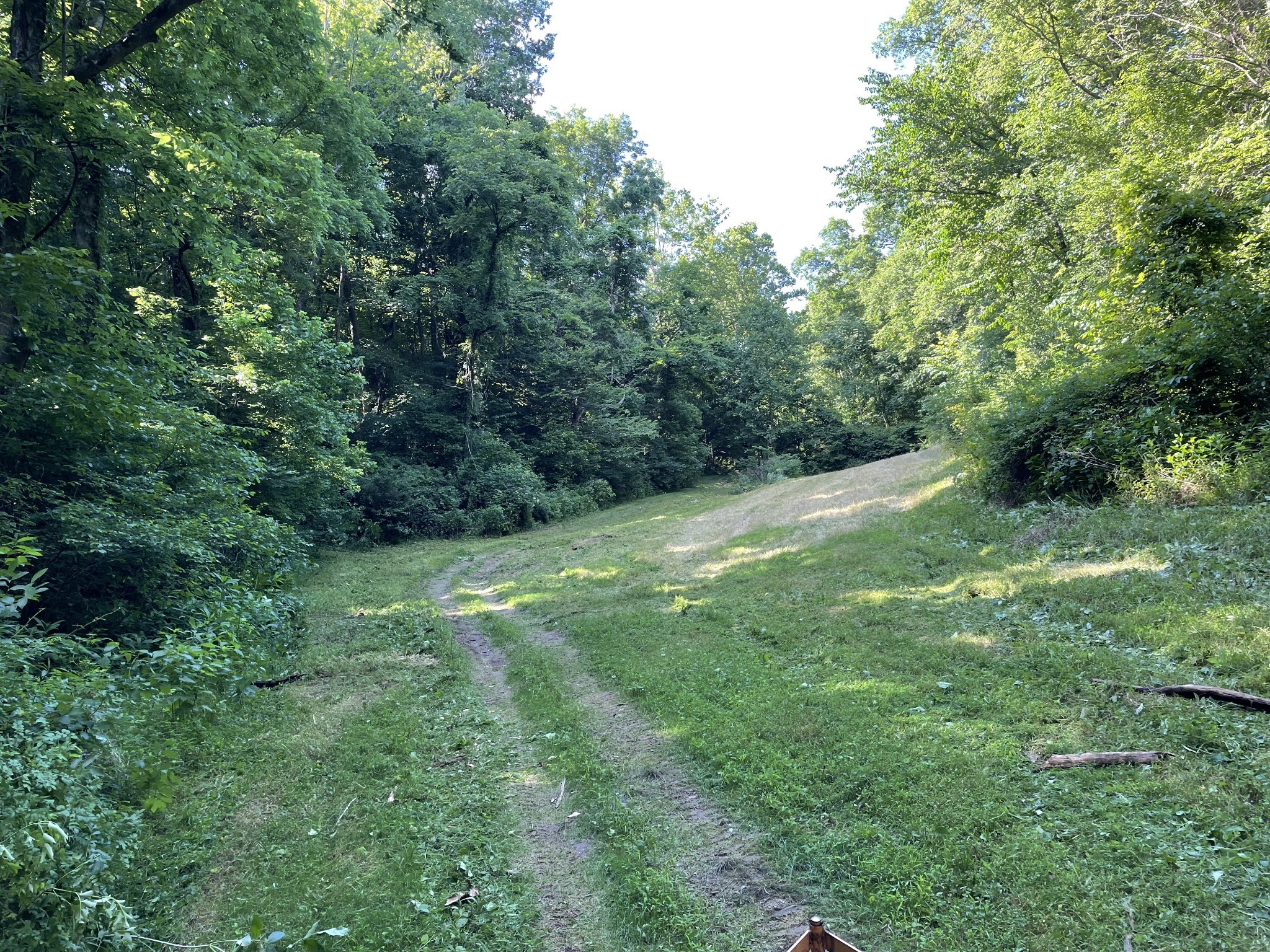 715 Rogues Fork Road Bethpage, TN 37022 - Photo 65 of 68 a big yard with lots of green space and deers