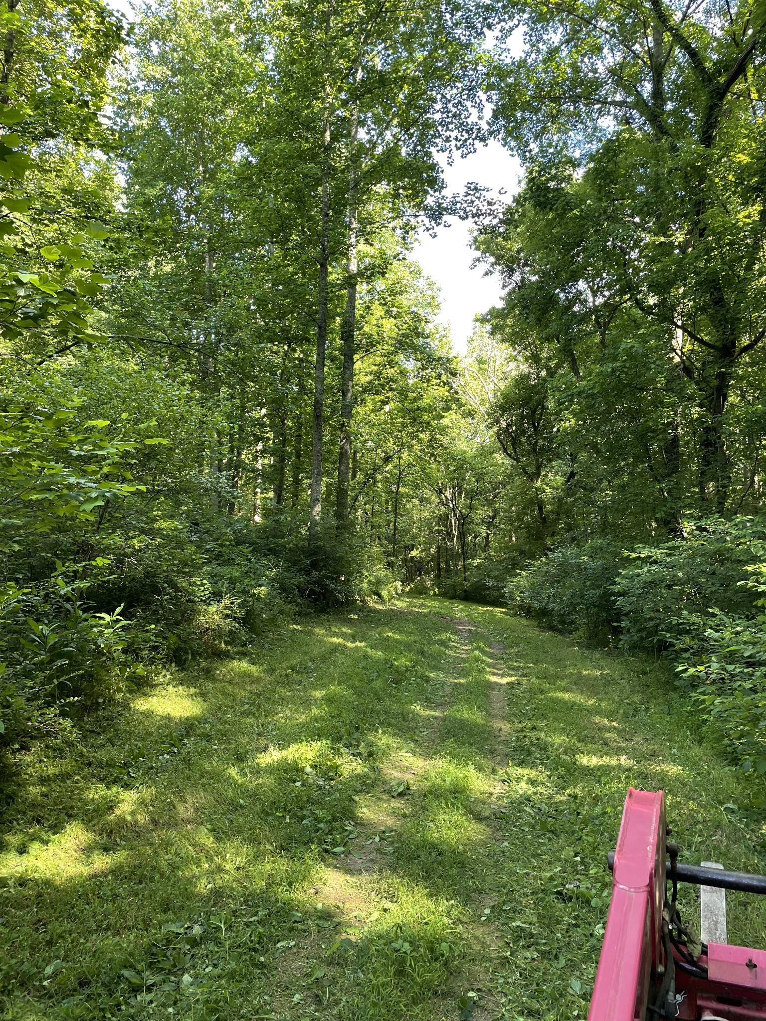 715 Rogues Fork Road Bethpage, TN 37022 - Photo 66 of 68 a view of a lush green space