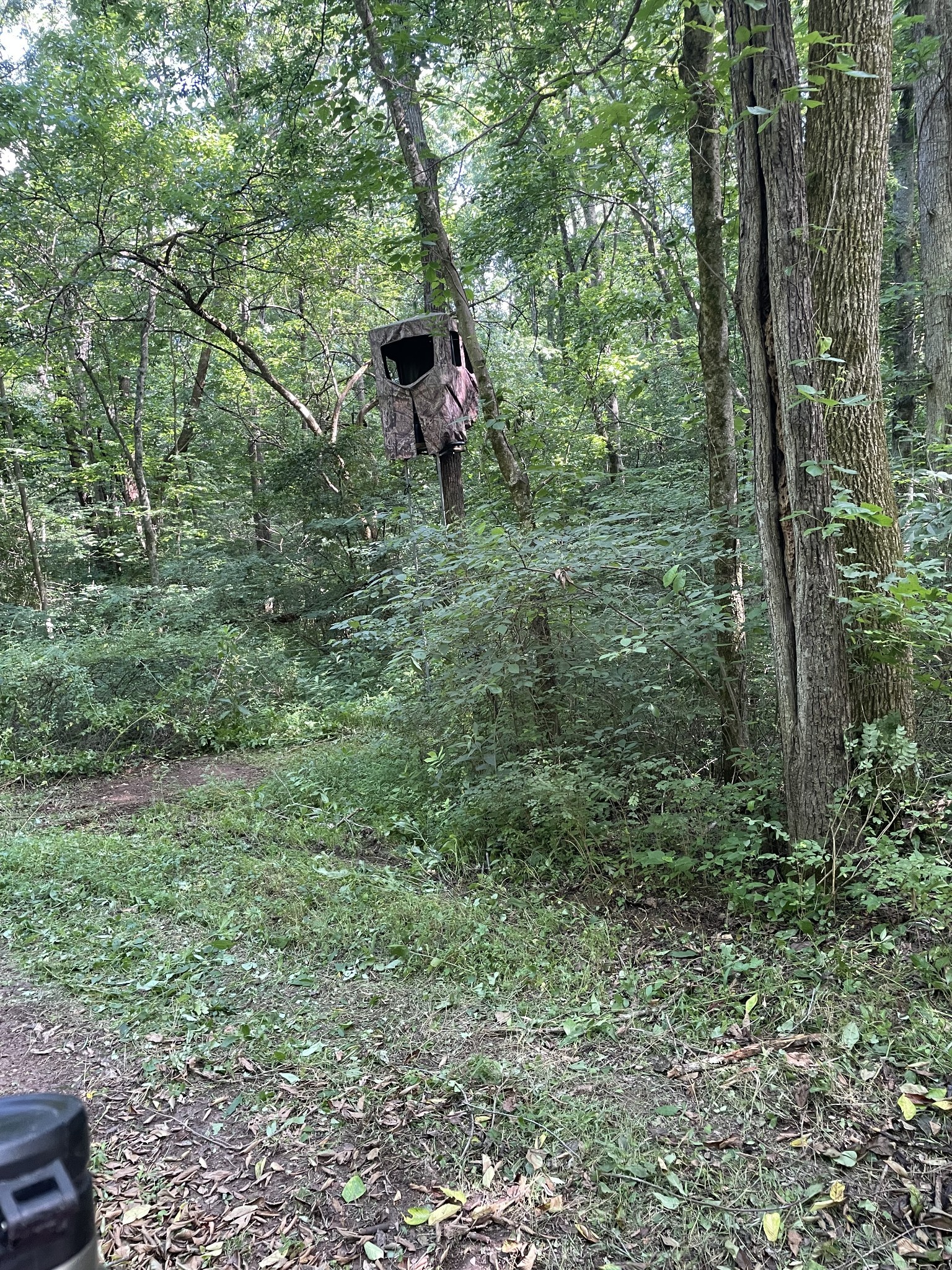 715 Rogues Fork Road Bethpage, TN 37022 - Photo 67 of 68