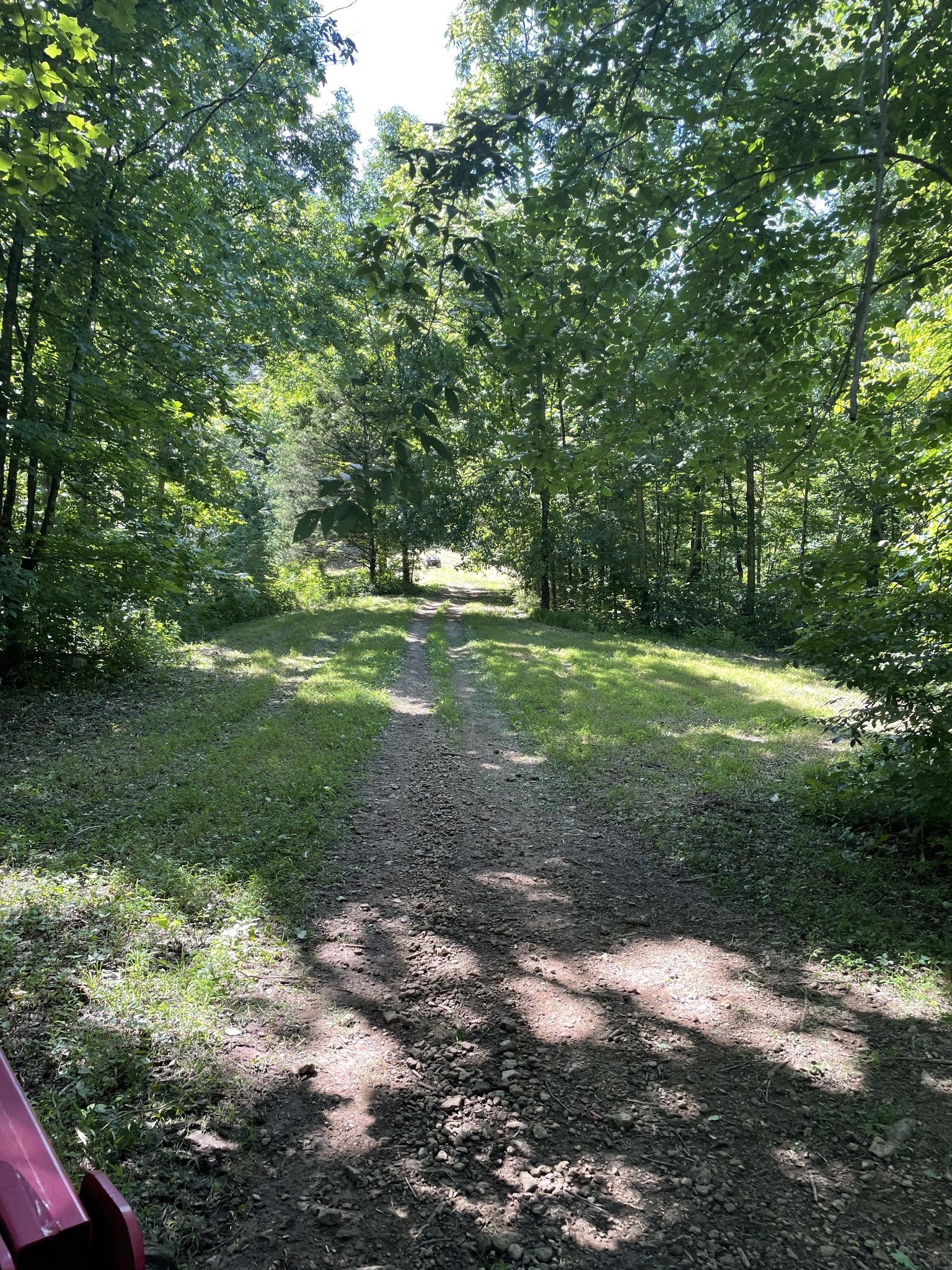 715 Rogues Fork Road Bethpage, TN 37022 - Photo 68 of 68 a view of a trees with a yard